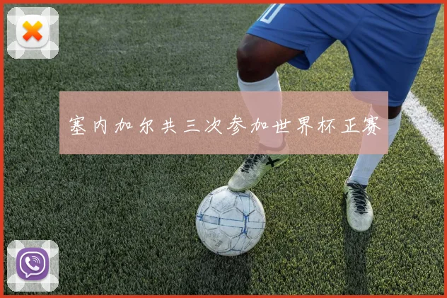 塞内加尔共三次参加世界杯正赛
