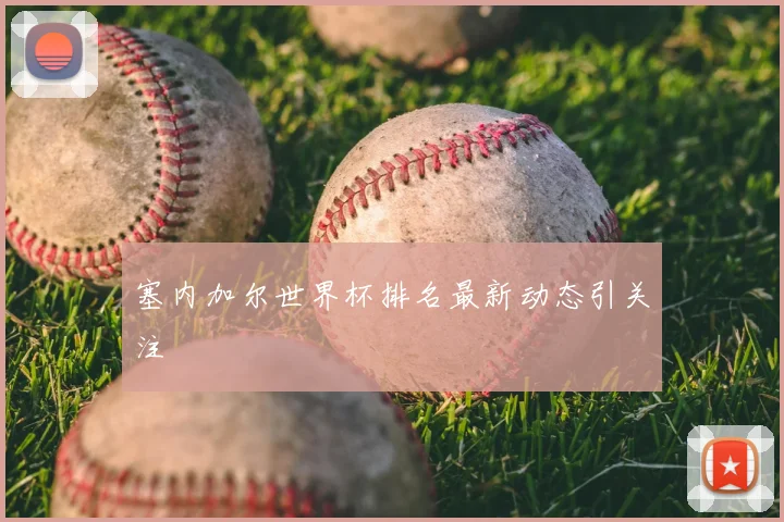 塞内加尔世界杯排名最新动态引关注