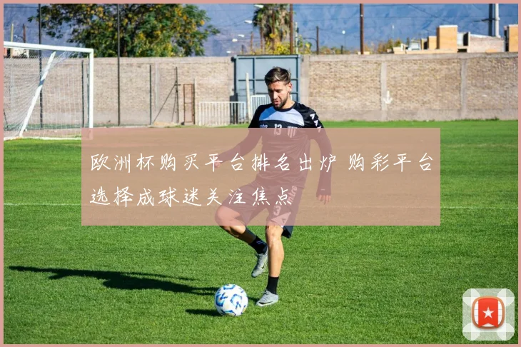 欧洲杯购买平台排名出炉 购彩平台选择成球迷关注焦点
