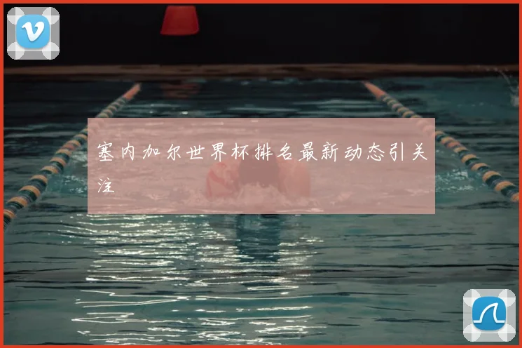 塞内加尔世界杯排名最新动态引关注