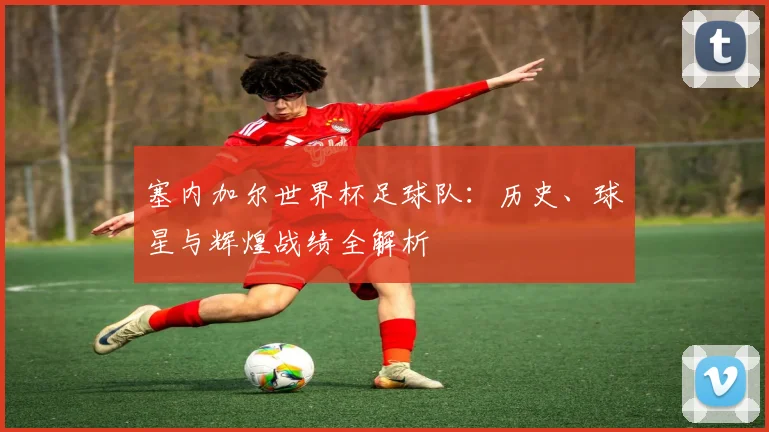 塞内加尔世界杯足球队：历史、球星与辉煌战绩全解析