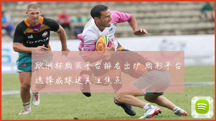 欧洲杯购买平台排名出炉 购彩平台选择成球迷关注焦点